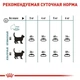 Сухой корм для кошек Royal Canin Hairball Care - способствует выведению шерсти из ЖКТ, 2 кг (2534020) - изображение 5
