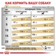 Сухой корм Royal Canin Urinary S/O Moderate Calorie Dog - для собак при мочекаменной болезни, 12 кг (3800120) - изображение 2