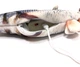 Іграшка для кота вібруюча жива риба CAPSBOARD FISH (340002) - зображення 2