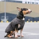 Жилетка для собак Pet Fashion E. Vest L (сірий) - зображення 6