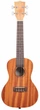 Укулеле KALA MAHOGANY CONCERT UKULELE NO BINDING - изображение 2