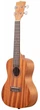 Укулеле KALA MAHOGANY CONCERT UKULELE NO BINDING - изображение 3