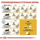 Сухой корм Royal Canin Sphynx Adult – для взрослых кошек породы Сфинкс от 12 месяцев, 10 кг (2556100) - изображение 5