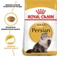 Сухой корм Royal Canin Persian Adult – для взрослых кошек Персидской породы от 12 месяцев, 10 кг (2552100) - изображение 2