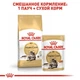 Сухой корм Royal Canin Maine Coon Adult – для взрослых кошек породы Мейн Кун от 15 мес, 10 кг (2550100) - изображение 4
