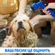 Шланг для полива X-hose 37,5 м Синий садовый поливочный с распылителем для воды на 7 режимов - изображение 8