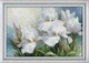 Набор для вышивания по нанесённой на канву схеме "Iris ". AIDA 14CT printed, 118*80 см - изображение 1