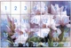Набор для вышивания по нанесённой на канву схеме "Iris ". AIDA 14CT printed, 118*80 см - изображение 3