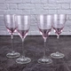 Набір келихів для вина Luminarc Variation Shades Pink D4846 240 мл 4 шт - зображення 1