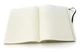 Блокнот Moleskine Classic великий 19&nbsp;x 25 см у клітинку чорний м'який - изображение 4