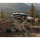 Газовый гриль Weber Traveler черный 9010075 - изображение 7