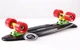 Скейт пенні борд Penny Fish Skateboards SOFT 401-5 22" Black, червоні колеса - зображення 2