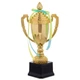 Кубок спортивный с ручками и крышкой приз спортивный SP-Sport 897C высота 30 см Gold - изображение 1