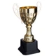Кубок спортивный с ручками приз спортивный SP-Sport Heroe 4045D высота 24,5 см Gold - изображение 2