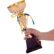 Кубок спортивный приз спортивный SP-Sport 913C высота 31 см Gold - изображение 3