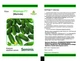 Марінда F1 Огірок Самозапильний Насіння Leda Agro 100 шт - изображение 4