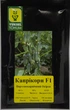 Капрікорн F1 Огірок Самозапильний Насіння Yuksel Seeds 250 шт - изображение 1