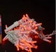 Гирлянда "шнурок уличный GooD" 100 LED (белый кабели) красный 10м - изображение 2