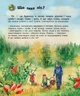 Детская энциклопедия про лес 614016 для дошкольников - изображение 7