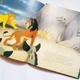 Детская книга на английском The Lion King Б/У - изображение 9