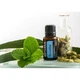 Суміш ефірних олій для очищення дихальних шляхів doTerra Breathe® Respiratory Blend «Дихання» 15 ml - зображення 3