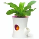 Умный вазон Qualy Log & Squirrel Tree Pot white-pink QL10075 - изображение 5
