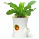 Умный вазон Qualy Log & Squirrel Tree Pot white-yellow QL10075 - изображение 4