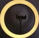 Кольцевая led лампа Ring 30 см с держателем для смартфона на штативе 210 см. - изображение 4