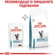 Упаковка влажного корма для взрослых кошек Royal Canin Veterinary Skin & Coat Cat Pouches (ломтики в соусе) 12 шт х 0.085 кг (9003579011539) (4092001) - изображение 6