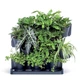 Каскад настенный Cascade Garden Антрацит (IO2W600S-S433) - изображение 5