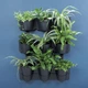 Каскад настінний Cascade Garden підвісний Антрацит (IO2W600W-S433) - зображення 5