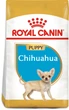 Sucha karma dla szczeniąt rasy chihuahua Royal Canin Chihuahua Puppy 1.5kg (3182550722544) (24380151) - obraz 2