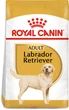 Sucha karma pełnoporcjowa dla psów Royal Canin Labrador Retriever Adult dla rasy labrador retriever w wieku od 15 miesięcy 12 kg (3182550715645) (2487120) - obraz 1
