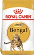 Сухий корм для дорослих кішок Royal Canin Bengal Adult для кошек породы бенгальская 2 кг (3182550864091) (4370020)A - изображение 1