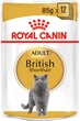 Упаковка вологого корму для дорослих кішок Royal Canin British Shorthair Adult 12 x 85 г (9003579001240) - зображення 3