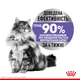 Сухий корм для дорослих стерилізованих кішок Royal Canin Appetite Control Care 2 кг (3182550920391) (25630209) - зображення 3