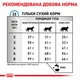 Сухий корм для дорослих кішок Royal Canin Hypoallergenic Cat 400 г (3182550939324) (39020051) - зображення 7