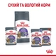 Сухий корм для дорослих стерилізованих кішок Royal Canin Appetite Control Care 2 кг (3182550920391) (25630209) - зображення 5