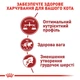 Сухой корм для домашніх та вуличних кішок Royal Canin Fit 400 г (3182550702157) (2520004) - изображение 3