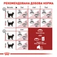 Сухой корм для домашніх та вуличних кішок Royal Canin Fit 400 г (3182550702157) (2520004) - изображение 5