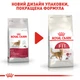 Сухой корм для домашніх та вуличних кішок Royal Canin Fit 400 г (3182550702157) (2520004) - изображение 7