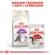 Сухой корм для котів Royal Canin Sensible 400 г (3182550702263) (2521004) - изображение 6
