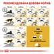 Сухий корм для кішок породи Мейн Кун Royal Canin Adult Maine Coon , 2 кг - зображення 8