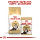 Сухий корм для дорослих кішок Royal Canin Persian Adult 2 кг (3182550702614) (2552020) - изображение 6