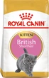 Сухий корм для кошенят Royal Canin Kitten British Shorthair для кошенят породи британська короткошерста 400 г (3182550816526) (2566004)A - изображение 1