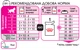 Упаковка влажного корма для кошенят Royal Canin Kitten in Gravy 12 шт по 85 г (9003579308943) (9003579308745)(4058001) (1273579308931) (11761) - изображение 3