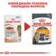 Консервований корм для котів для підтримки краси шерсті (шматочки в желе) Royal Canin Intense Beauty 85 г (9003579311721) - изображение 3