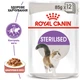 Вологий корм Royal Canin Sterilised in Gravy шматочки в соусі для стерилізованих кішок 12x85 г (9003579311301) - изображение 3