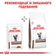 Упаковка полнорационного диетического корма Royal Canin Veterinary для кошек при расстройствах пищеварения Gastrointestinal 12 шт х 85 г (9003579013557) (40390011) (1272579327751) (11709) - изображение 10