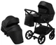 Коляска 2 в 1 Bair Kiwi ECO BK-15 черный - изображение 1